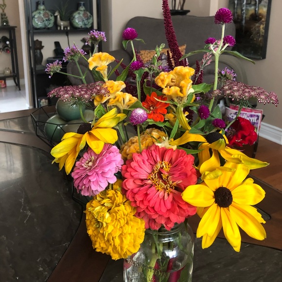 Meet your Posher, Loida - Picture 1 of 1